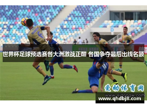 世界杯足球预选赛各大洲激战正酣 各国争夺最后出线名额